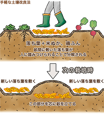 有機栽培のすすめ 臣先生の実践講座 第4回 畝立ての考え方 Web連載 最前線web タキイ種苗