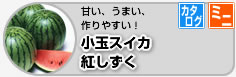 ʃXCJ