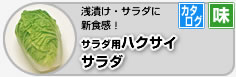 T_pnNTC