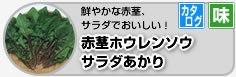 ԌszE\E