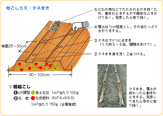 n炦E^l܂