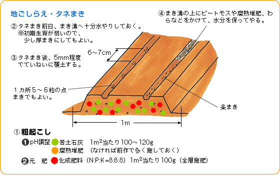 n炦E^l܂