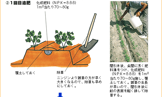 (2)2回目間引き