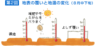 【第2図】地表の覆いと地温の変化(8月中下旬)