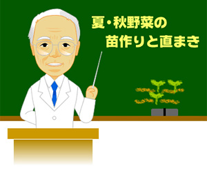 夏 秋野菜の苗作りと直まき 野菜 山田式家庭菜園教室 調べる タキイ種苗株式会社