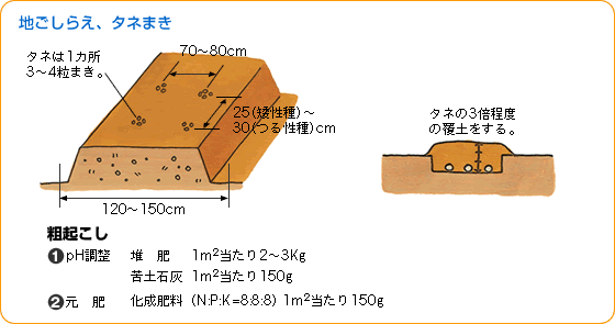 n炦A^l܂