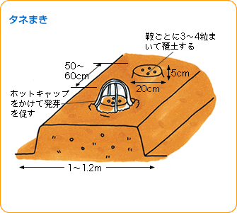 n炦E^l܂