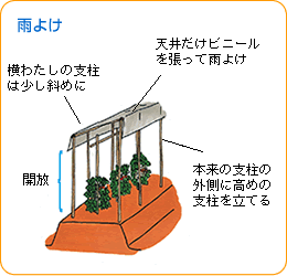 雨よけ