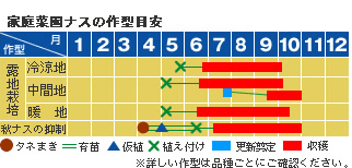 ナス 野菜 山田式家庭菜園教室 Dr 藤目改訂版 調べる タキイ種苗株式会社