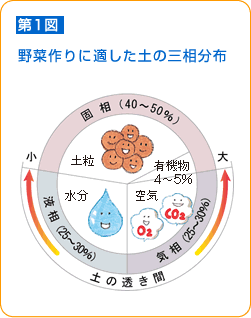 よい土がよい野菜を育てる 野菜 山田式家庭菜園教室 調べる タキイ種苗株式会社 よい土がよい野菜を育てる 野菜 山田式家庭菜園教室 調べる タキイ種苗株式会社