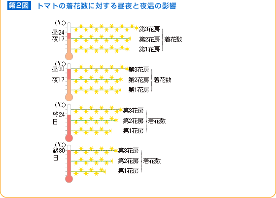 【第2図】トマトの着花数に対する昼夜と夜温の影響