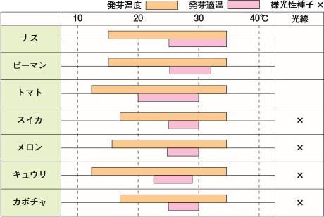 果菜類の失敗しない苗作り 野菜 山田式家庭菜園教室 Dr 藤目改訂版 調べる タキイ種苗株式会社