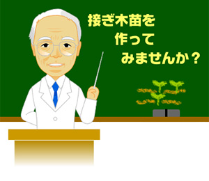 接ぎ木苗を作ってみませんか 野菜 山田式家庭菜園教室 調べる タキイ種苗株式会社