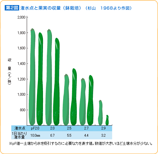 施肥の基本的な考え方 野菜 山田式家庭菜園教室 調べる タキイ種苗株式会社