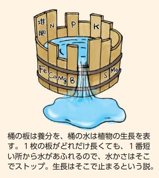 リービッヒの最小律
