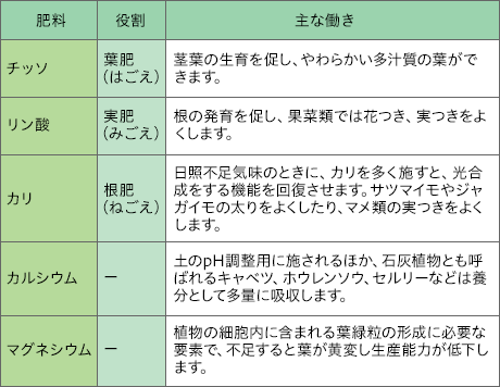 5要素の役割と主な働き