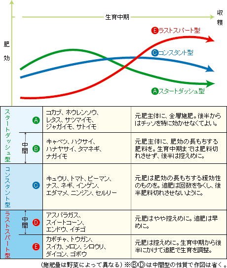 野菜の肥料の効かせ方のタイプ