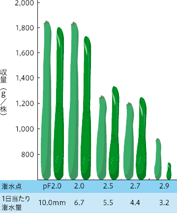 潅水点と果実の収量（鉢栽培）（杉山, 1968より作図）