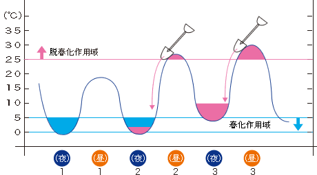 ԉ蕪ɑ΂ቷƍ̓