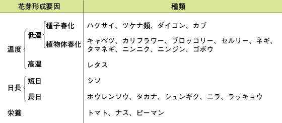 野菜のメカニズム 花芽分化 野菜 山田式家庭菜園教室 Dr 藤目改訂版 調べる タキイ種苗株式会社