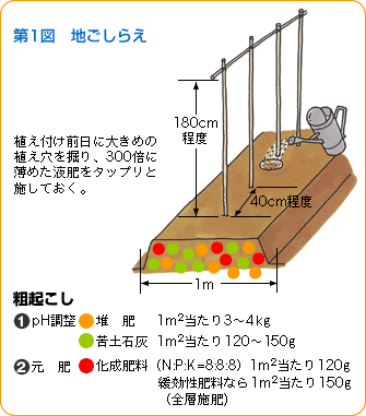 y1}zn炦