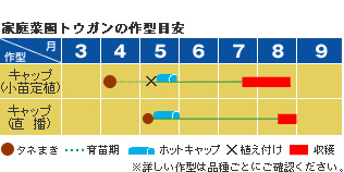 トウガン 野菜 山田式家庭菜園教室 Dr 藤目改訂版 調べる タキイ種苗株式会社