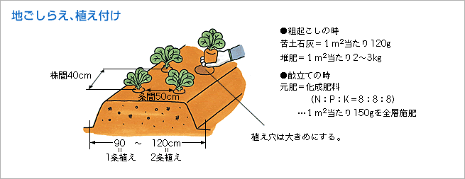 地ごしらえ、植え付け（図1）