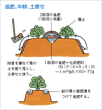 追肥、中耕、除草（図）