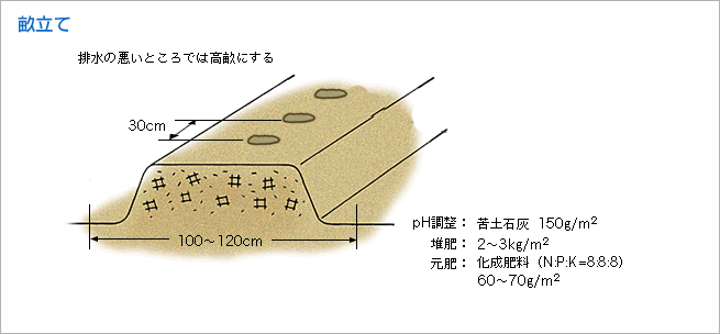 畝立て（図1）