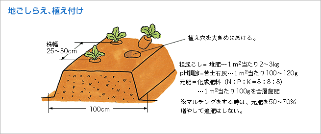 地ごしらえ、植え付け（図1）