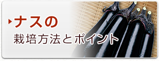 ナスの栽培方法とポイント