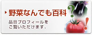 野菜なんでも百科