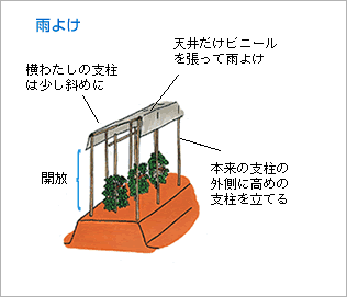 雨よけ（図）