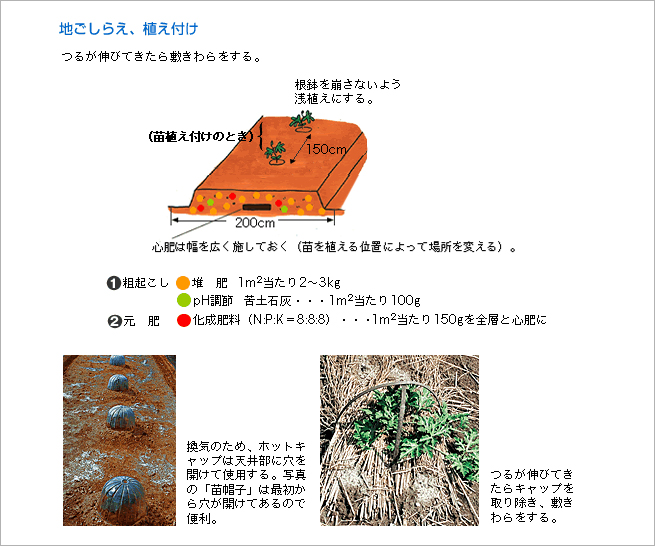 地ごしらえ、植え付け