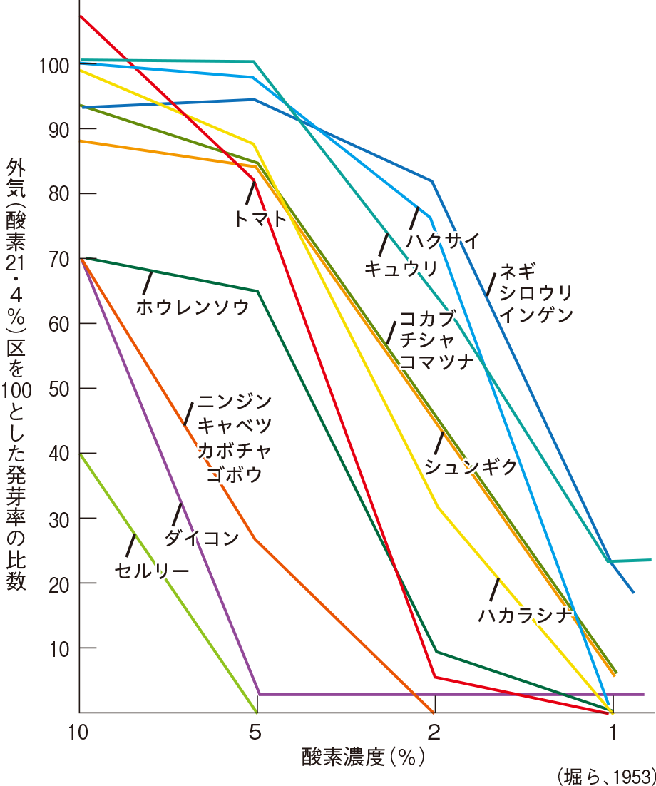 酸素濃度と発芽率(温度18.5〜24.0℃)