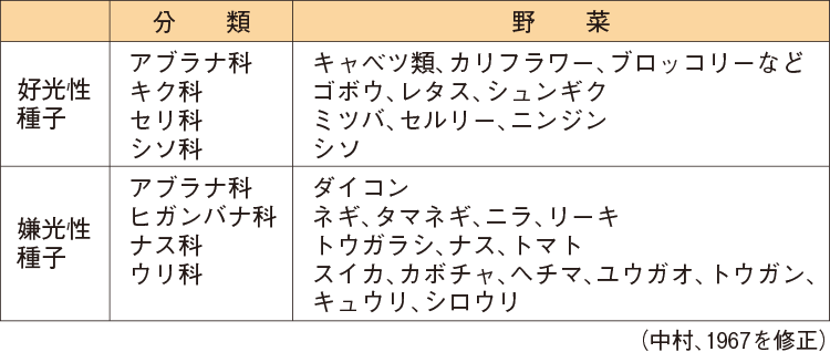 野菜種子の光と発芽の関係